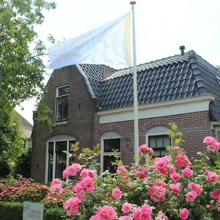 Uniqueludique * Middenbeemster